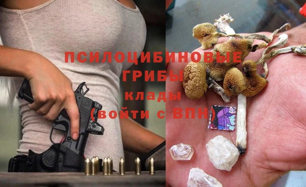прущая мука Нея