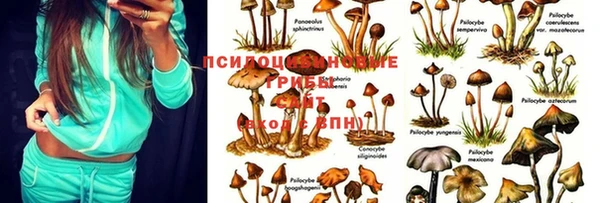 прущая мука Нея