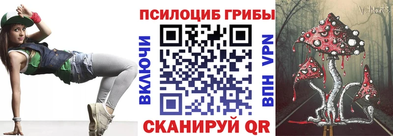 Псилоцибиновые грибы ЛСД  Приморско-Ахтарск 