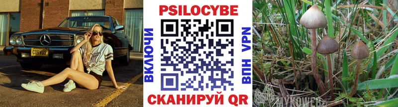 Галлюциногенные грибы GOLDEN TEACHER Приморско-Ахтарск